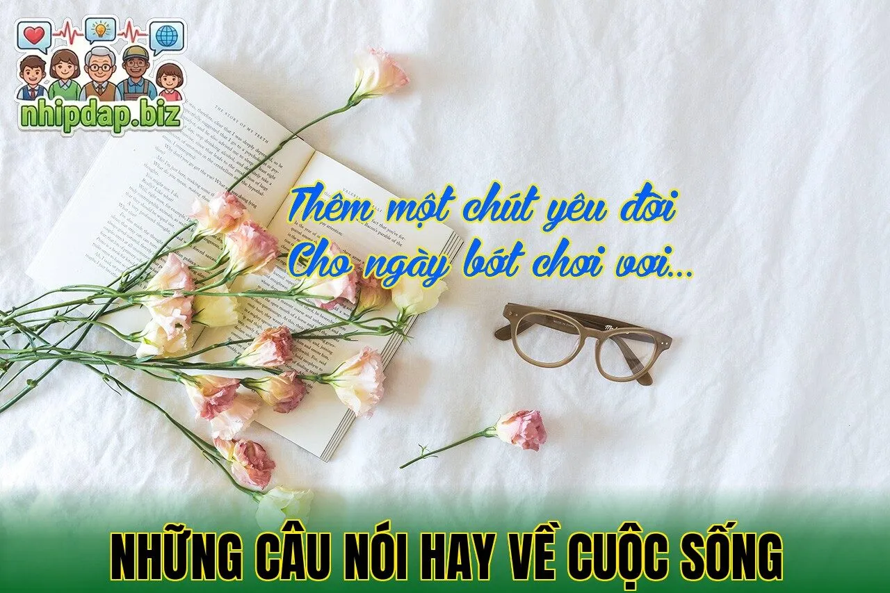 Những câu nói hay về cuộc sống