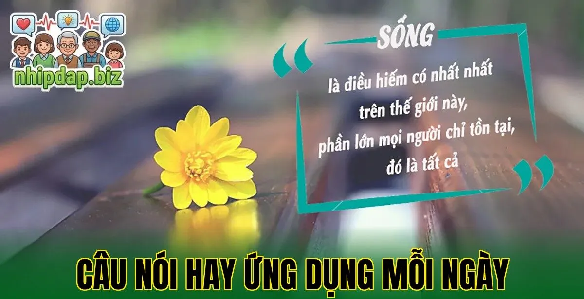 Câu nói hay ứng dụng mỗi ngày