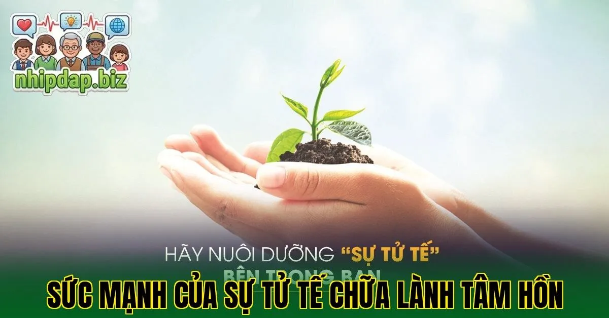 Sức mạnh của sự tử tế chữa lành tâm hồn