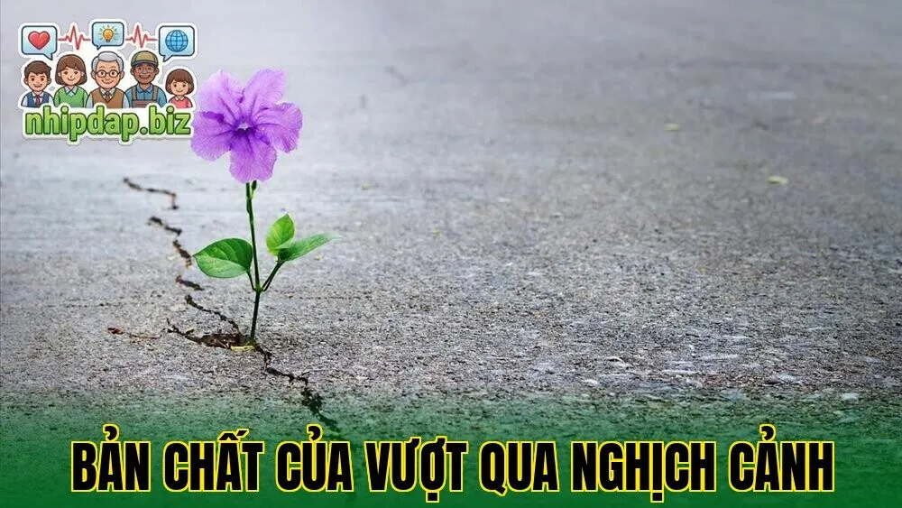 Bản chất của vượt qua nghịch cảnh