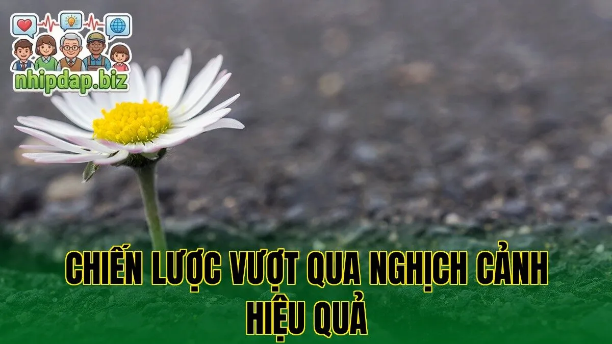 Chiến lược vượt qua nghịch cảnh hiệu quả