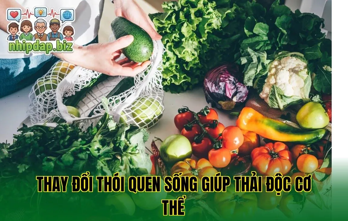 Thay đổi thói quen sống giúp thải độc cơ thể