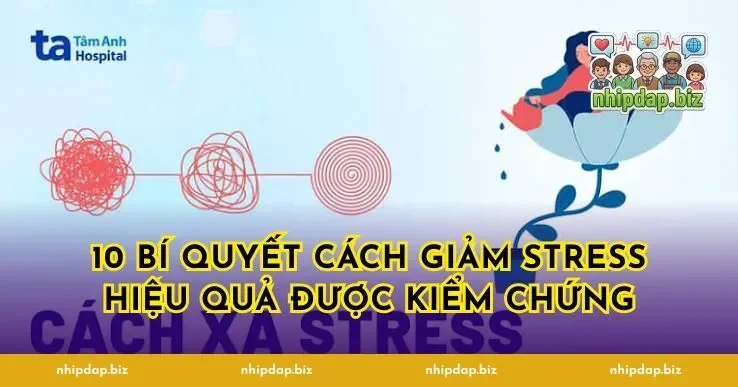 10 Bí Quyết Cách Giảm Stress Hiệu Quả Được Kiểm Chứng