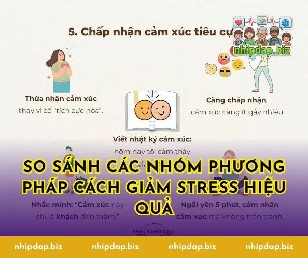 So Sánh Các Nhóm Phương Pháp Cách Giảm Stress Hiệu Quả