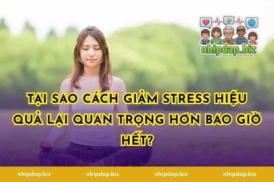 Tại Sao Cách Giảm Stress Hiệu Quả Lại Quan Trọng Hơn Bao Giờ Hết?